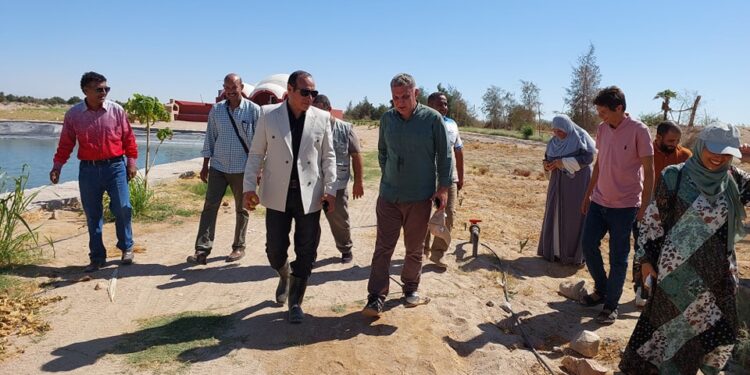 د. أحمد رزق : 4 توصيات لتنمية القطاع الزراعي بـ«زراعة جنوب سيناء» 1 زراعة جنوب سيناء