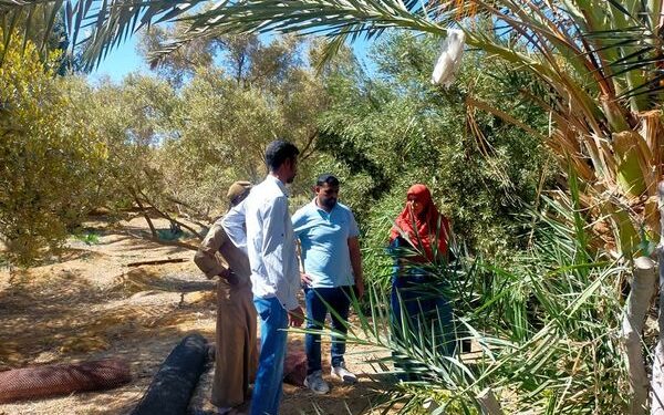 «زراعة جنوب سيناء» : بداية جديدة للإرشاد الزراعى بقافلة الإصحاح البيئى براس سدر 1 زراعة جنوب سيناء