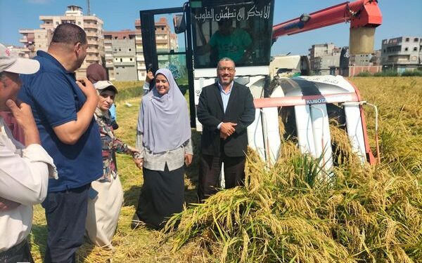 «زراعة دمياط » تتخذ خطوات جادة نحو التحول الرقمي ..وتنفذ يوم حصاد محصول الأرز بفارسكور 1 زراعة دمياط