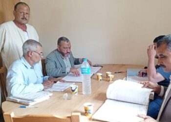 زراعة دمياط