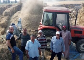 زراعة كفر الشيخ