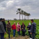 «زراعة الدقهلية»: 3 توجيهات للإدارات لتنفيذ التعليمات الجديدة لـ«كارت الفلاح»وصرف الأسمدة 12 زراعة الدقهلية