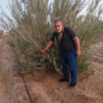 «زراعة جنوب سيناء» تتابع الخدمات والمعاملات الشتوية للزراعات بدهب 12 زراعة جنوب سيناء