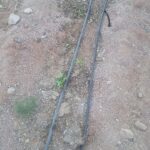 زراعة جنوب سيناء