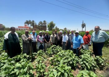 الزراعة: تنفيذ المرحلة الثانية لمشروع  تحسين الزراعة الموجهة للسوق لصغار المزارعين”الايسماب” بالتعاون مع الجايكا اليابانية”