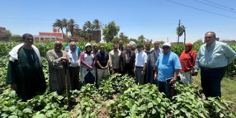 الزراعة: تنفيذ المرحلة الثانية لمشروع تحسين الزراعة الموجهة للسوق لصغار المزارعين"الايسماب" بالتعاون مع الجايكا اليابانية" 1 الزراعة: تنفيذ المرحلة الثانية لمشروع  تحسين الزراعة الموجهة للسوق لصغار المزارعين”الايسماب” بالتعاون مع الجايكا اليابانية”