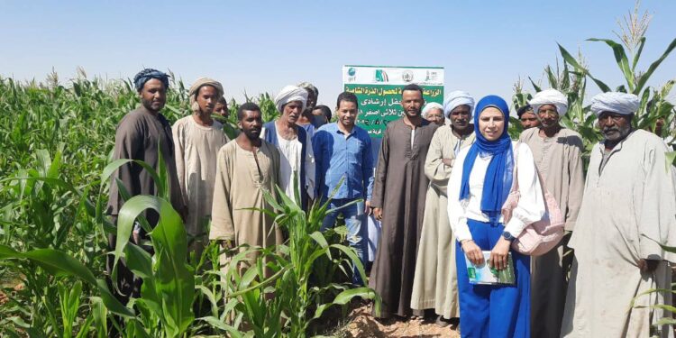 فريق إرشادي لأشجار الفاكهة والذرة بـ«زراعة أسوان» 1 زراعة أسوان
