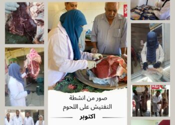 الزراعة: الخدمات البيطرية تنفذ حملات رقابية مكثفة على أسواق اللحوم خلال أكتوبر 2024