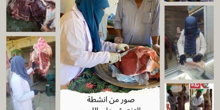 الزراعة: الخدمات البيطرية تنفذ حملات رقابية مكثفة على أسواق اللحوم خلال أكتوبر 2024