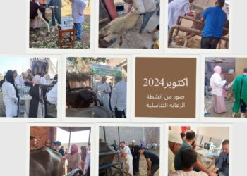 الزراعة: جهود وإنجازات الخدمات البيطرية لتحسين السلالات خلال اكتوبر 2024