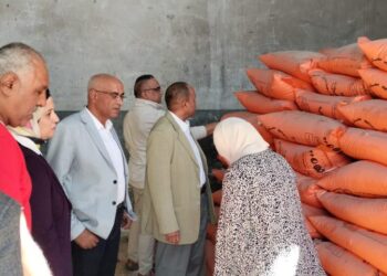 الزراعة تتابع في الإسكندرية المحاصيل الشتوية ومنظومة الأسمدة