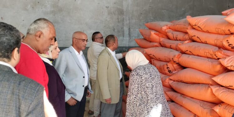 الزراعة تتابع في الإسكندرية المحاصيل الشتوية ومنظومة الأسمدة 1 الزراعة تتابع في الإسكندرية المحاصيل الشتوية ومنظومة الأسمدة