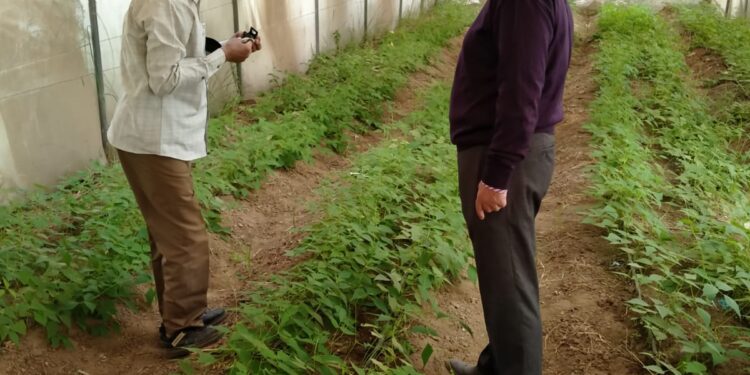 المركزية لمكافحة الآفات تستعد لموسم الزراعات الشتوي وإطلاق عناصر المكافحة الحيوية