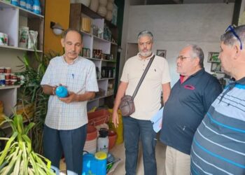 زراعة مطروح