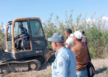 زراعة بورسعيد