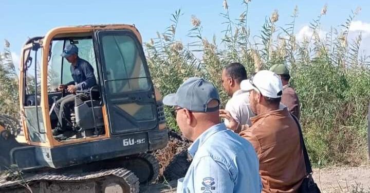 «زراعة بورسعيد»: تقوم بتدريب أخصائي محصول القمح..وتزيل 4 حالات تعدي 1 زراعة بورسعيد