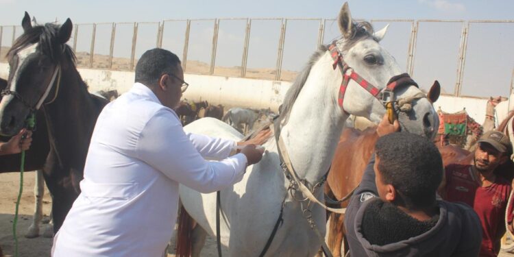 نزلة السمان