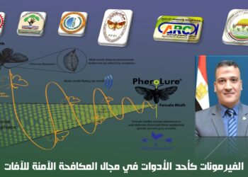 المكافحة الآمنة