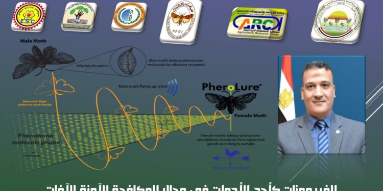 المكافحة الآمنة