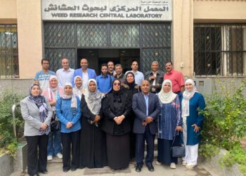 بحوث الحشائش