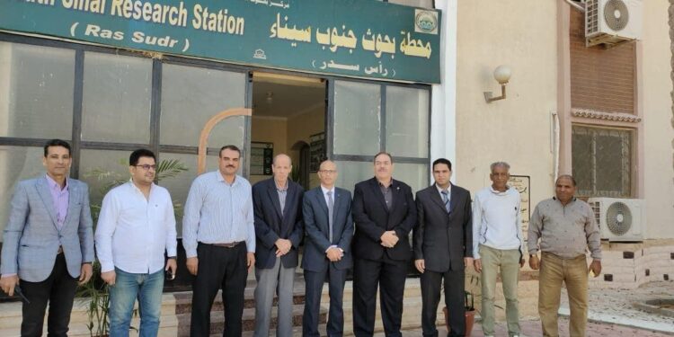 بحوث الصحراء