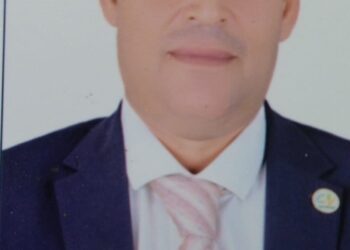 تقاوي قمح مغشوشة