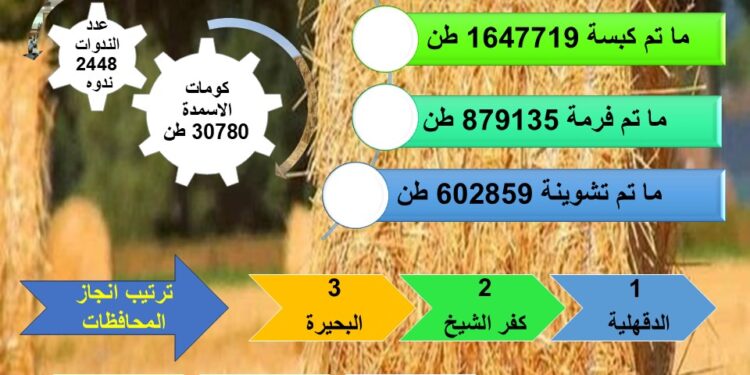 «وزارة الزراعة»: انتهاء موسم حصاد الأرز وجمعنا ١.٦ مليون طن قش.. وإنتاج 30 ألف طن أسمدة عضوية 1 وزارة الزراعة