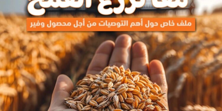 «وزارة الزراعة» تصدر العدد ٢٣ من مجلتها الشهرية «MALR» عدد نوفمبر ٢٠٢٤ 1 وزارة الزراعة