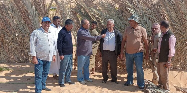"بحوث الصحراء" بالتعاون مع أكساد يطلقان مشروع تثبيت الكثبان الرملية لمجابهة التغيرات المناخية في واحة سيوة 1 “بحوث الصحراء” بالتعاون مع أكساد يطلقان مشروع تثبيت الكثبان الرملية لمجابهة التغيرات المناخية في واحة سيوة