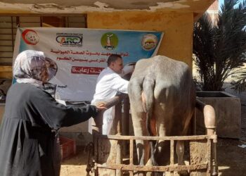 رئيس البحوث الزراعية يستعرض تقريرا عن أنشطة الإدارة المركزية للإرشاد الزراعي خلال أكتوبر 2024