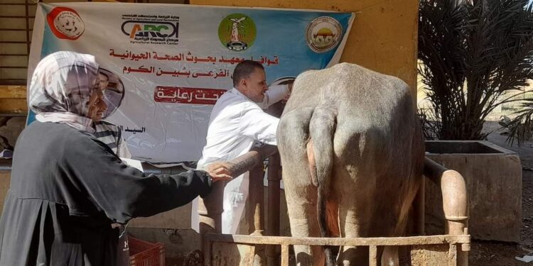 فحص 7417 رأس ماشية في قافلة بيطرية لمعهد بحوث الصحة الحيوانية في 6 محافظات 1 رئيس البحوث الزراعية يستعرض تقريرا عن أنشطة الإدارة المركزية للإرشاد الزراعي خلال أكتوبر 2024