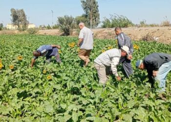المراكز الإرشادية