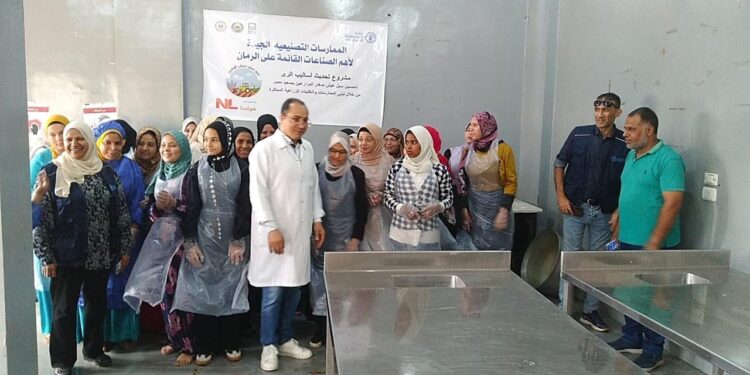«تكنولوجيا الأغذية» و«الفاو» ينفذان برنامجًا تدريبيًا عن الممارسات التصنيعية الجيدة لـ«الرمان» 1 «تكنولوجيا الأغذية» و«الفاو» ينفذان برنامجًا تدريبيًا عن الممارسات التصنيعية الجيدة لـ«الرمان»