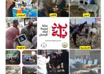 الخدمات البيطرية