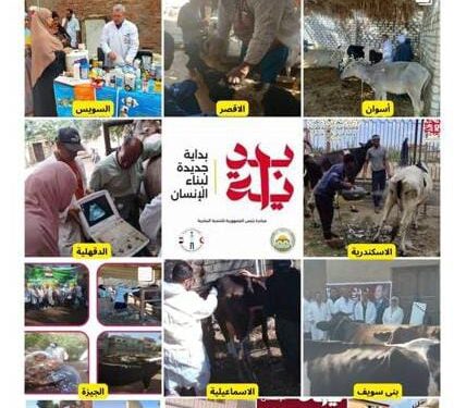 الخدمات البيطرية