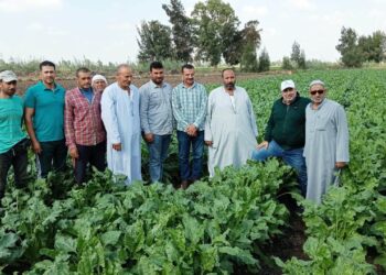 زراعة البحيرة