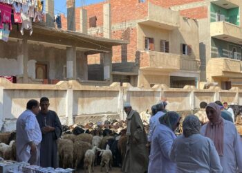 قوافل بيطرية