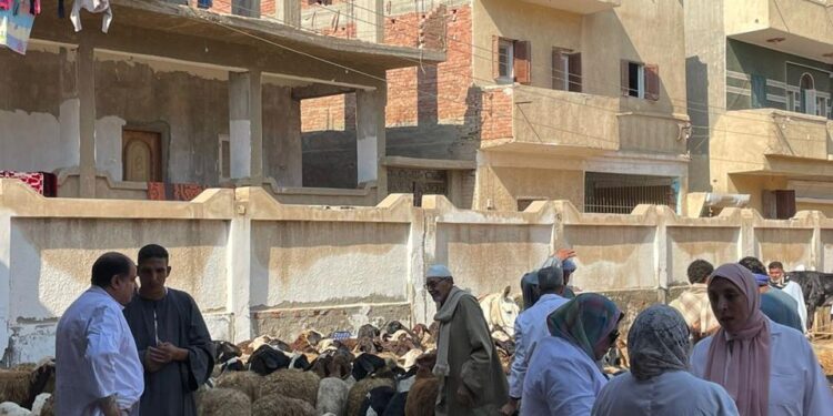 «الزراعة» تنفذ قوافل بيطرية مجانية شاملة بالمحافظات بالتعاون «مستقبل وطن» 1 قوافل بيطرية