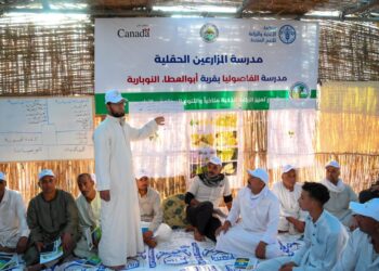 قطاع الاستصلاح