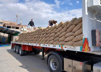 الحاصلات البستانية