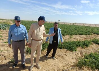 بحوث الصحراء