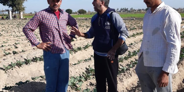 مزارع البساتين