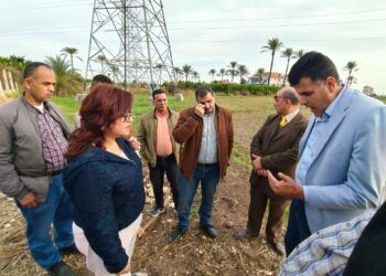 تحسين الأراضي