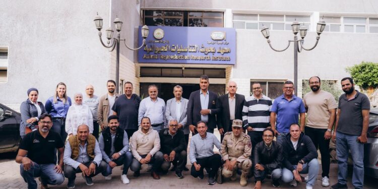 التناسليات الحيوانية