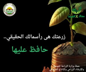 IMG 20241124 WA0009