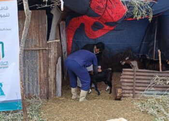 البحوث الزراعية