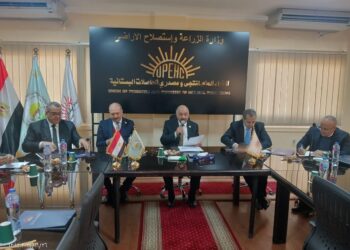 المجلس النوعي للزيتون