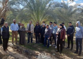 بحوث الصحراء