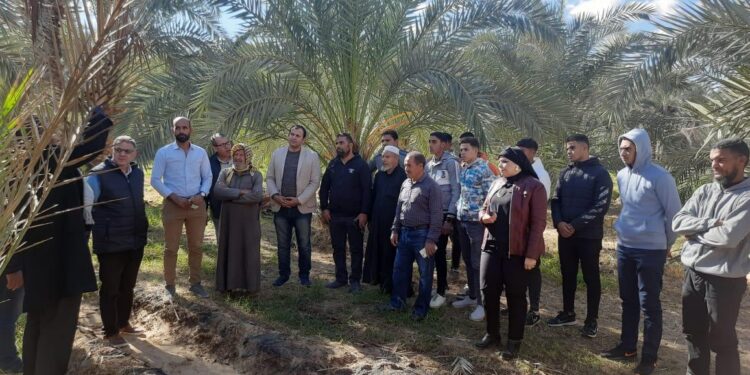 بحوث الصحراء يواصل دعم المزارعين وصغار المربين بقوافل بيطرية مجانية بشمال سيناء 1 بحوث الصحراء