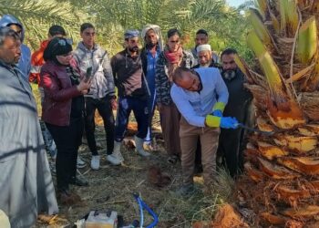 مكافحة الآفات